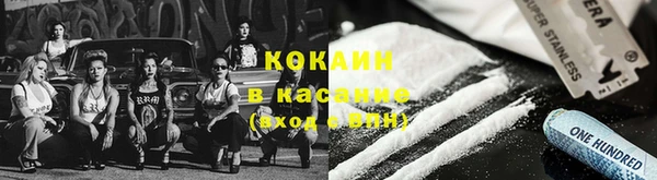 индика Абинск