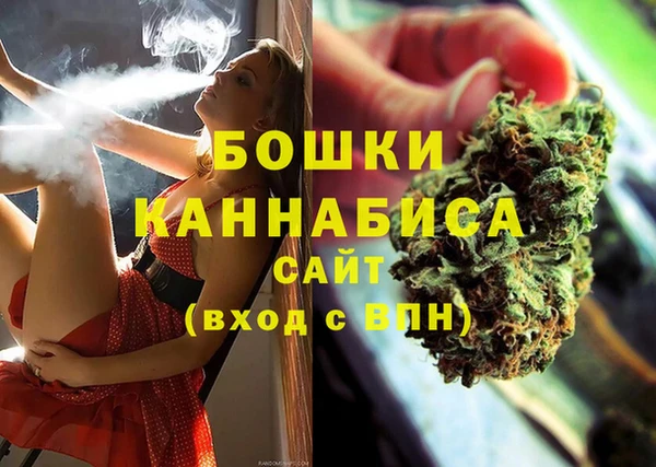 индика Абинск