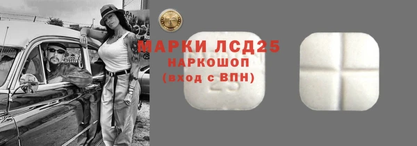 индика Абинск