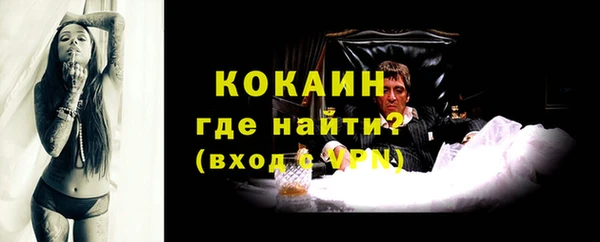 стаф Абаза