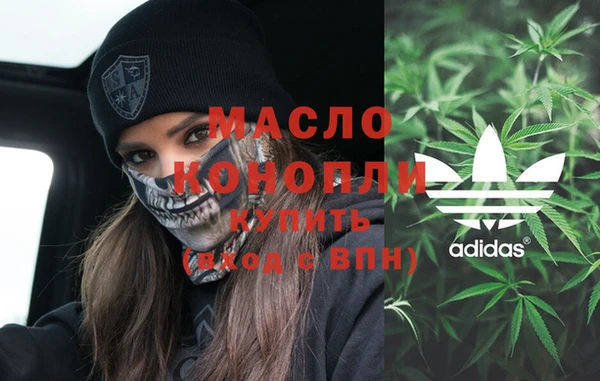 индика Абинск