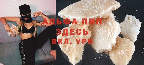 индика Абинск