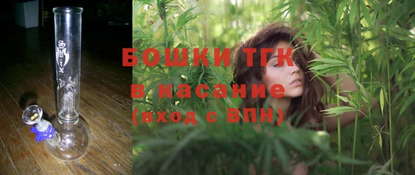 стаф Абаза