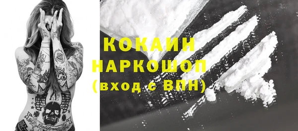 индика Абинск