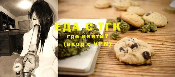 индика Абинск