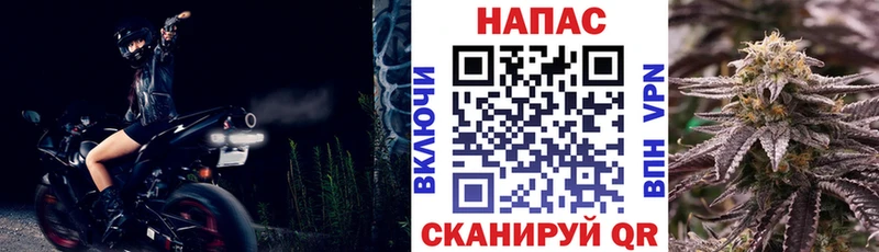 купить  цена  Усолье  Конопля ГИДРОПОН 